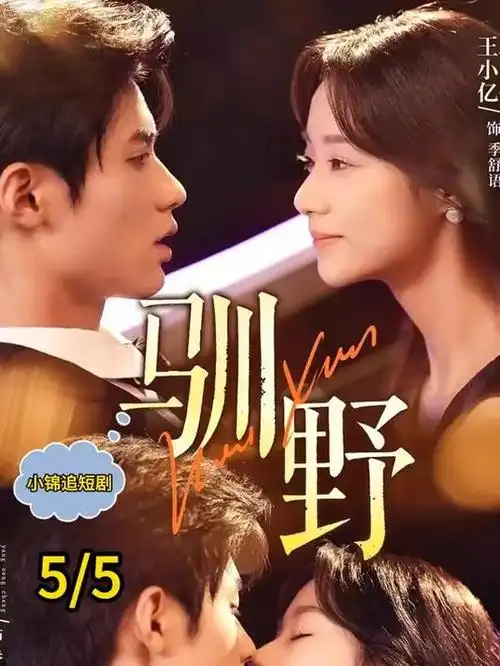 青柠影院电视剧在线播放-星光音乐会